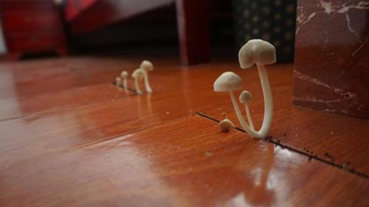 潮濕的地下室對人體有哪些危害？